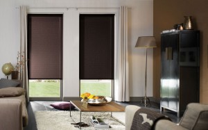 Blackout Blinds - Great For Your TV Room