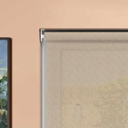 Cream Sun Screen Electric Roller Blinds Product Detail