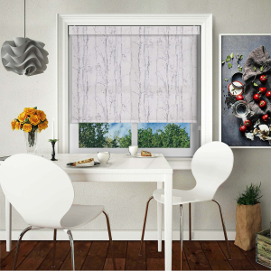 Aspen Silver Electric No Drill Roller Blinds