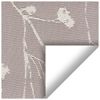 Cape Tulip Champagne Thermal Blackout Roller Blind