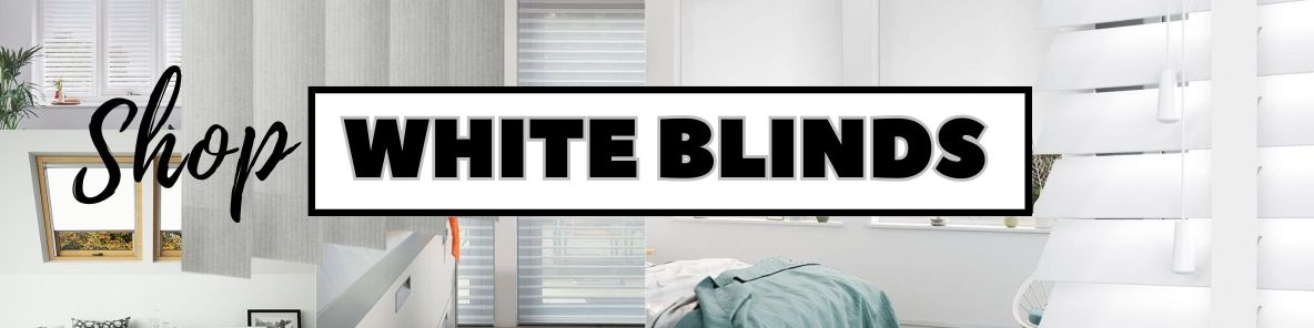 white blinds